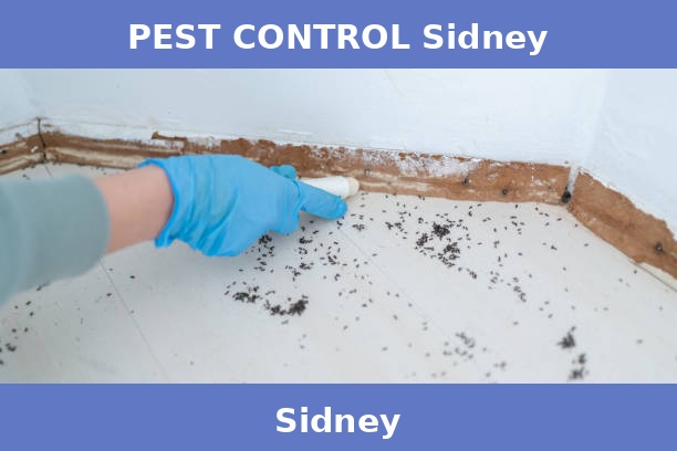 PEST CONTROL Sidney